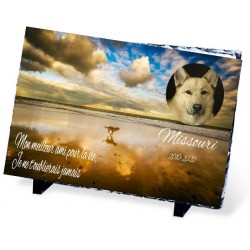 Plaque Funéraire pour chien de la plage