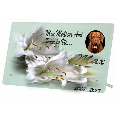 Plaque Funeraire Lys Pour Chien Ou Chat