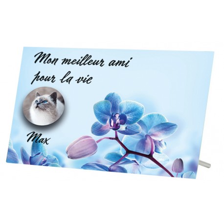 Plaque Funeraire Fleur Bleue Pour Chien Ou Chat
