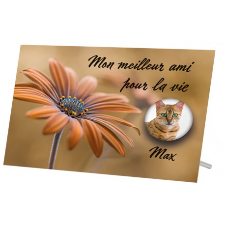 Plaque Funeraire Fleur Marron Pour Chien Ou Chat