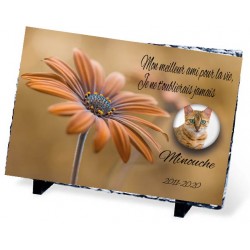 Plaque Funeraire Ardoise Pour Chat